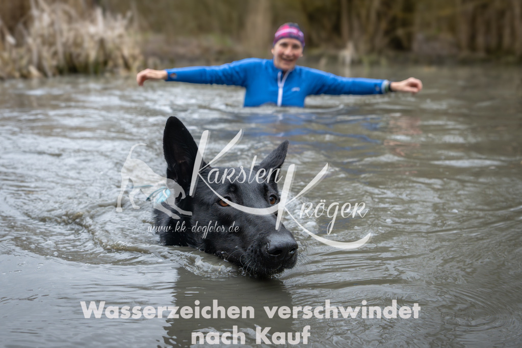 1014_ZZ97375 | kk-dogfotos