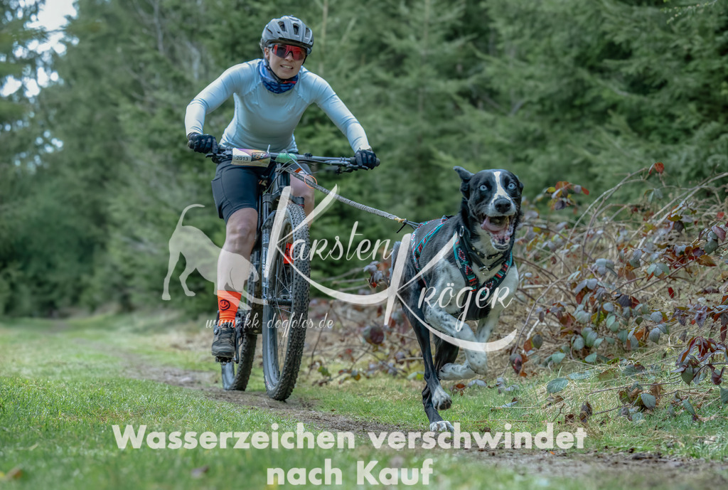 1309_ZZ93699-Bearbeitet-Bearbeitet | kk-dogfotos