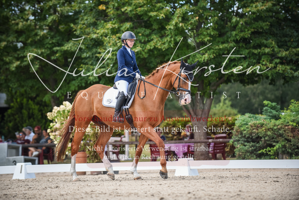 DSC_9227 | Pferde- und Turnierfotografie in Westsachsen. Pferdeportraits, Auftragszeichnungen und intuitive Kunst.