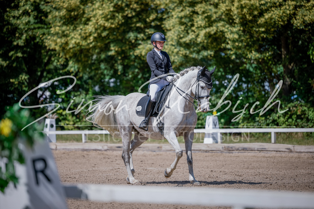 20250621-_3LI9194 | Tierfotografie Pferde, Hunde, Katzen, Haustiere.
Turnierfotografie Reitturniere, Reiten, Springreiten, Dressur in Hanau, dem Main-Kinzig-Kreis und dem Rhein-Main- Gebiet um Frankfurt