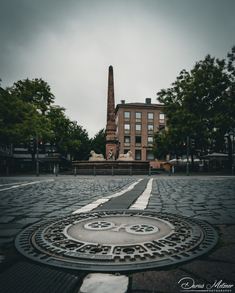 _DSC5538 2 | Fotografien, Fotos und Bilder aus Mainz, Frankfurt, Wiesbaden und anderen Orten auf der Welt - Fotografiert von Darius Metzner