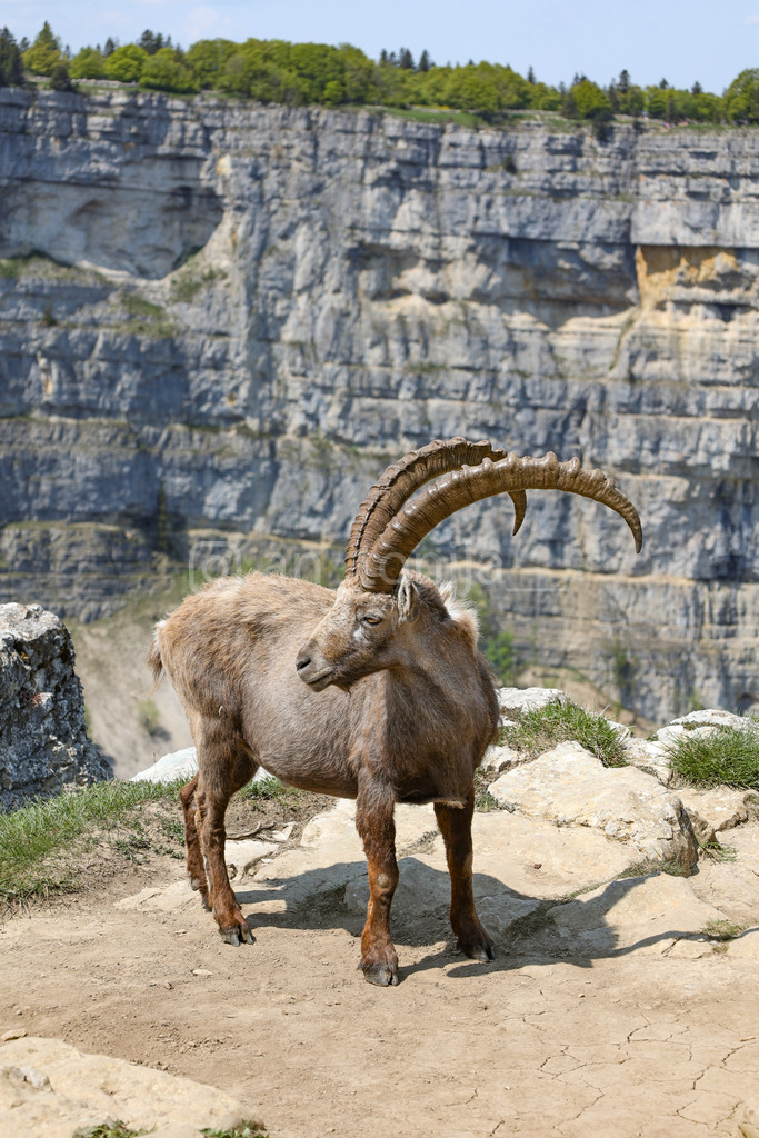 A.Trupina-39 | antonija-trupina - Realisiert mit Pictrs.com