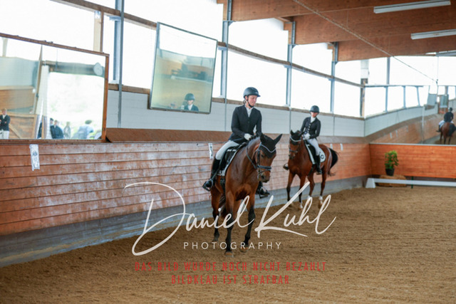 _62_7459 | Turniersportfotografie; Pferdefotografie; Dressurfotografie