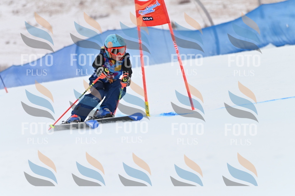 BGV_9956 | holidayphoto