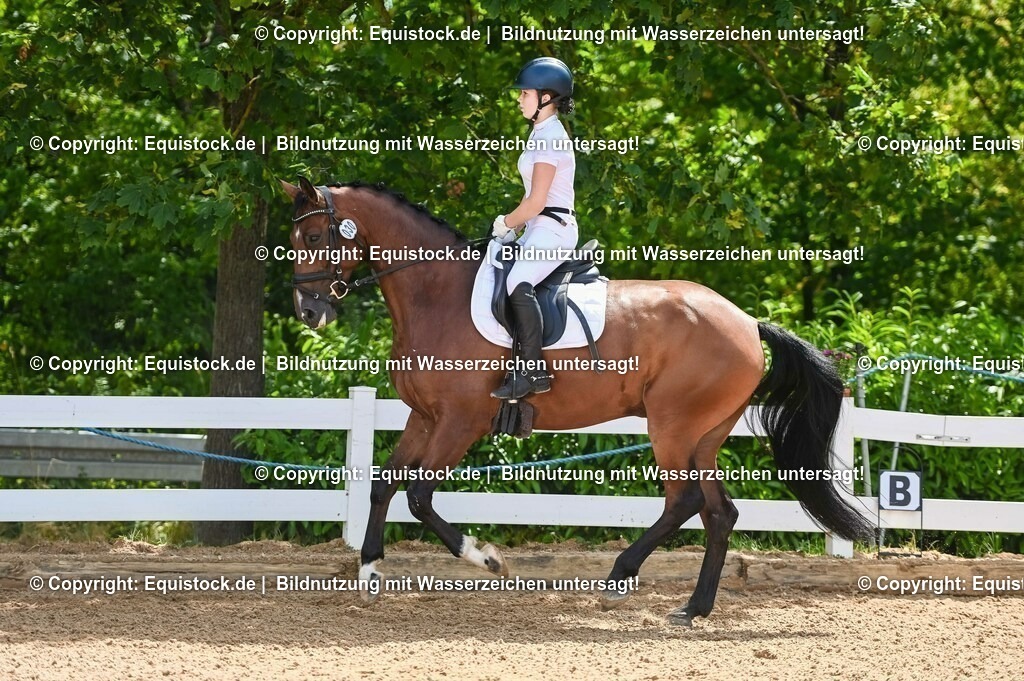 20230715_09_Dressur-WB_0179 | equistock