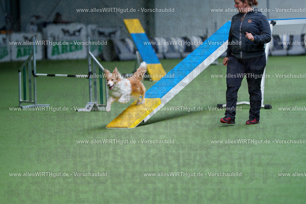 @allesWIRTHgut_Tierfotografie - www.allesWIRTHgut.de - 2604260920-7R507374 | Professionelle Tierfotografie in Mönchengladbach von Daniel Wirth (allesWIRTHgut). Liebevolle & natürliche Bilder von Hunden & Katzen für unvergessliche Erinnerungen.