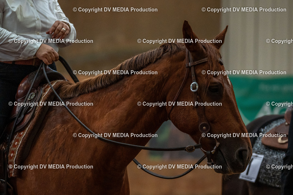 Neckargemünd Tag 3-143 | dv-media-shop - Realisiert mit Pictrs.com