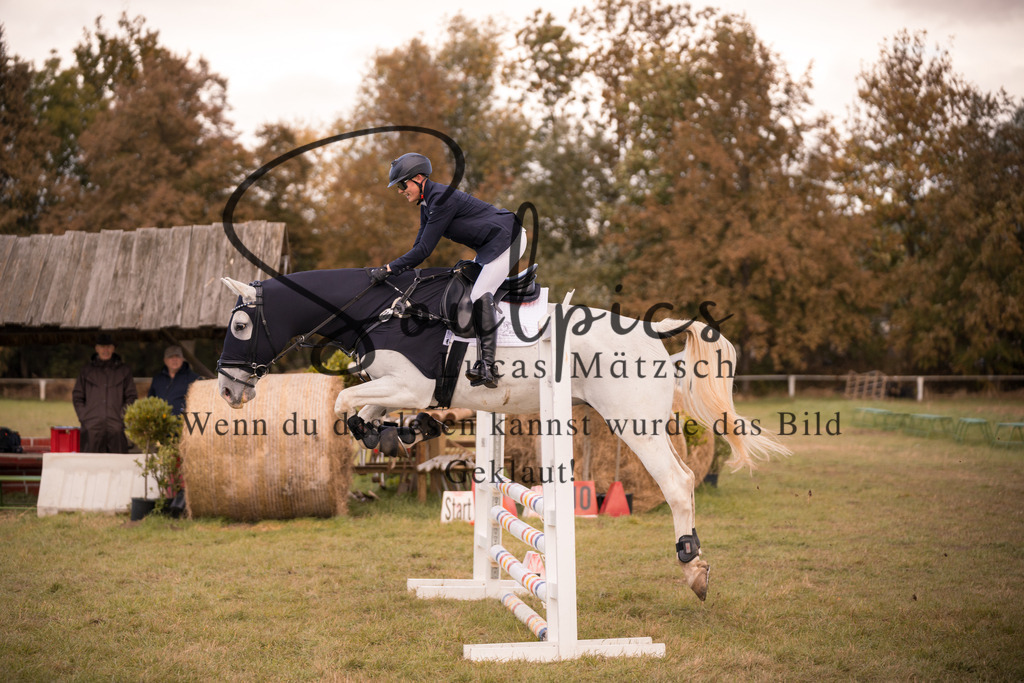 A7V06435 | Pferdefotograf