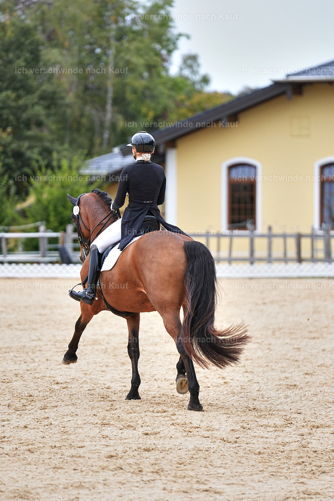 11-189-Dressur S___-Marixx-1783 | working equitationturnier fotograf videograf stoibphotography marixx film working equitation deutschland reitsport turnierfotografie eventfotografie equestrian events