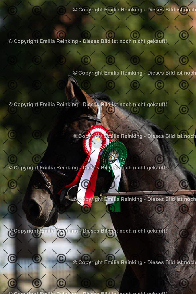 CL5A6548 | Emilia Reinking Fotografie - Realisiert mit Pictrs.com