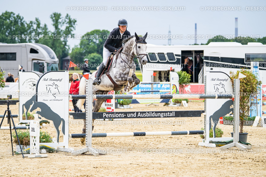 DSC06799 | Pferdegrafie