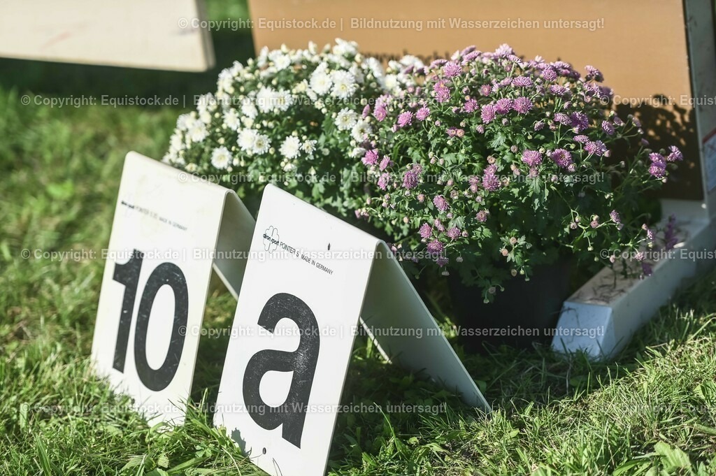 20230908_24_Springen_M_0077 | equistock