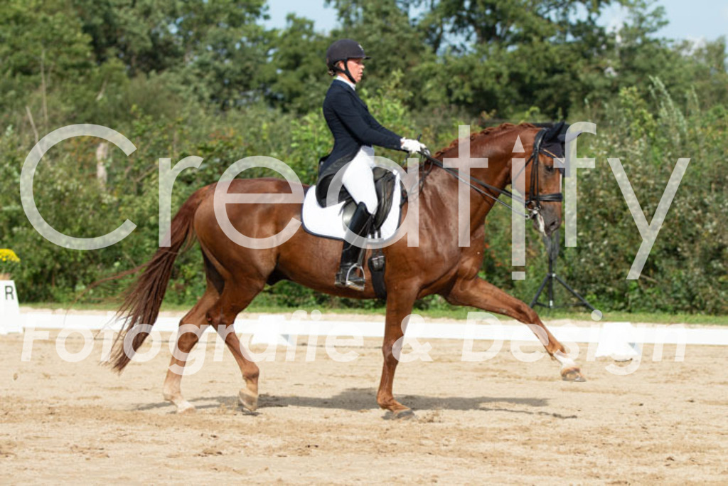 IMG_4113 | Creatify Fotografie