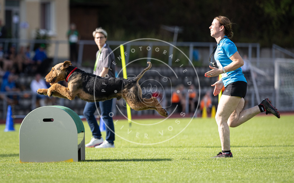 Pfotenfotografie_DV3A2204 | Hundefotografie, Tierfotograf, Pfotenfotografie, Fotoshooting Hund, Hunde Portrait, Hundesport, Hundeportraits, Heideshooting, Hunde, Sportfotograf, Hundefotograf, Turnierhundsport, THS,  - Realisiert mit Pictrs.com