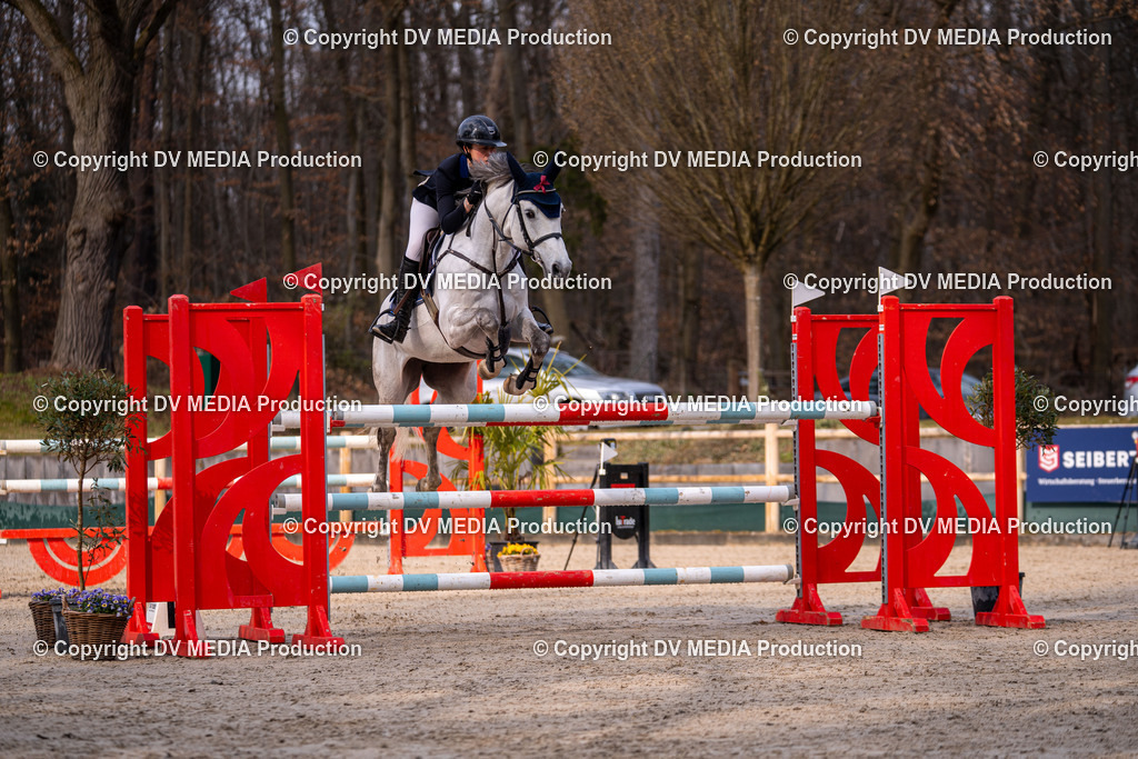 Kranichstein Tag 2-2232 | dv-media-shop - Realisiert mit Pictrs.com