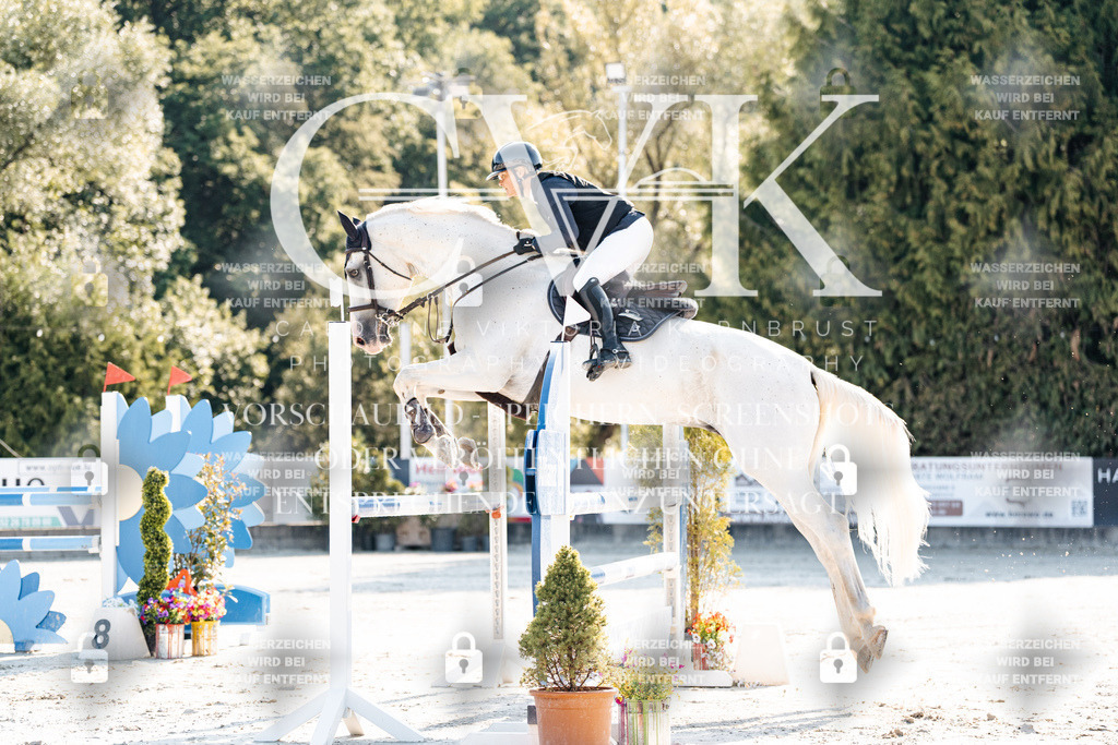 CK901593 | Turnierfotografie Pferdefotografie Trier Rheinland-Pfalz Pferdesport Reitsport Tierfotografie Sportfotografie Pferdevideo Pferdevideografie Equestrianvideography equestrianphotography  - Realisiert mit Pictrs.com