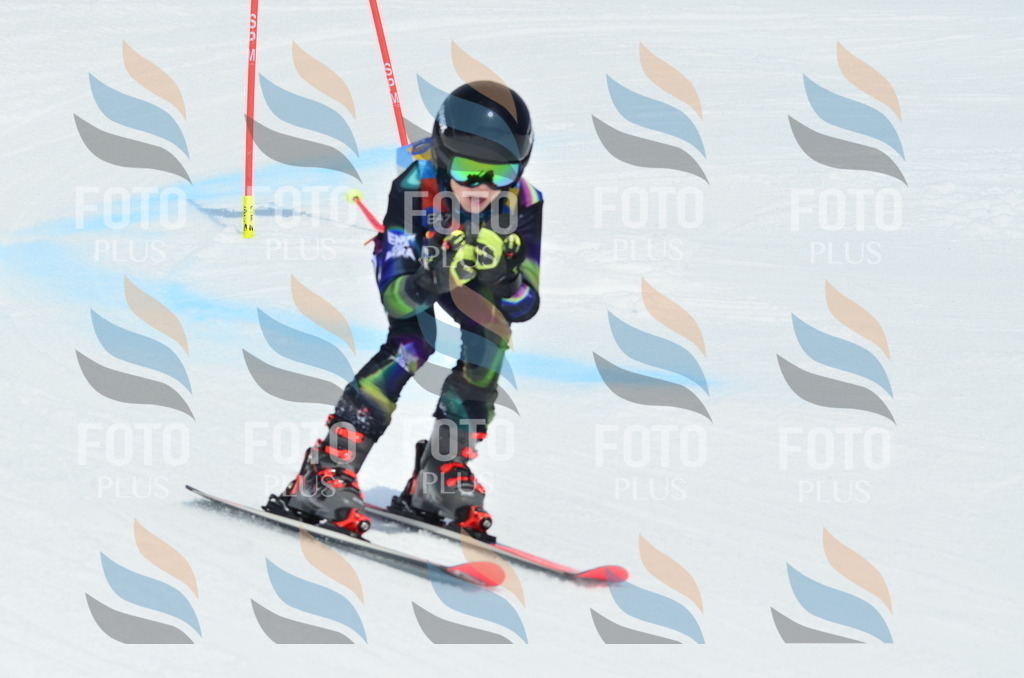 _ELE2644 | holidayphoto