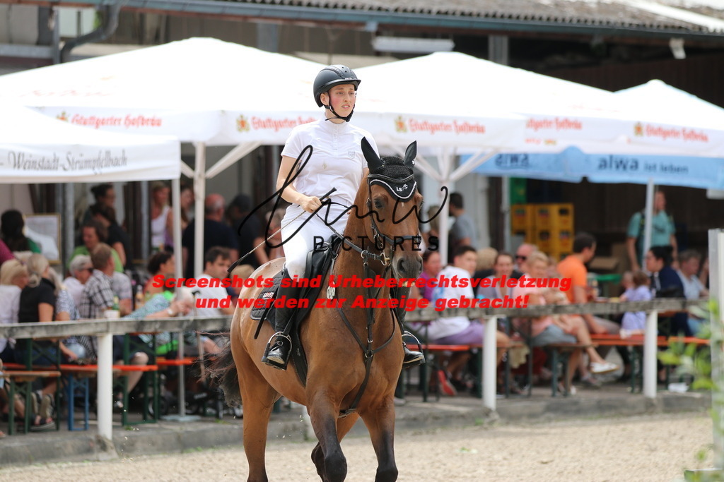 IMG_2102 | lmwpictures - Realisiert mit Pictrs.com