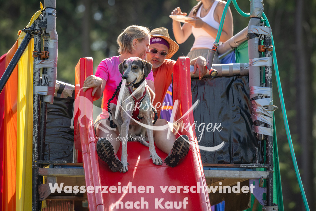 1437_ZZ91207 | kk-dogfotos