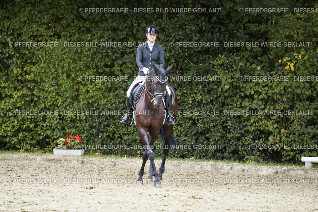 DSC01470 | Pferdegrafie