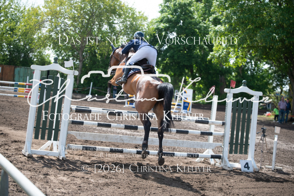 DSC_1651 | Christina-Kleuver