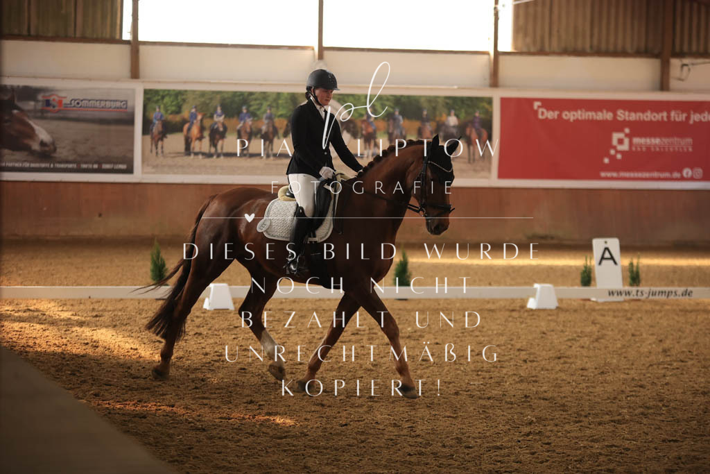 IMGT7781 | pl-fotografie