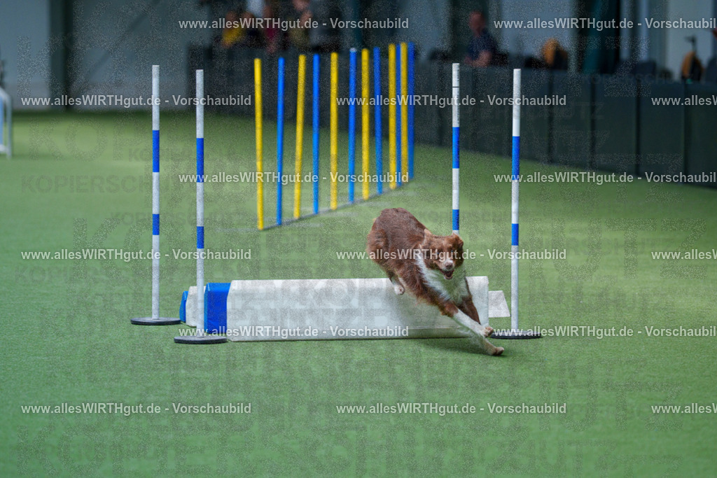 @allesWIRTHgut_Tierfotografie - www.allesWIRTHgut.de - 2604261402-7R503265 | Professionelle Tierfotografie in Mönchengladbach von Daniel Wirth (allesWIRTHgut). Liebevolle & natürliche Bilder von Hunden & Katzen für unvergessliche Erinnerungen.