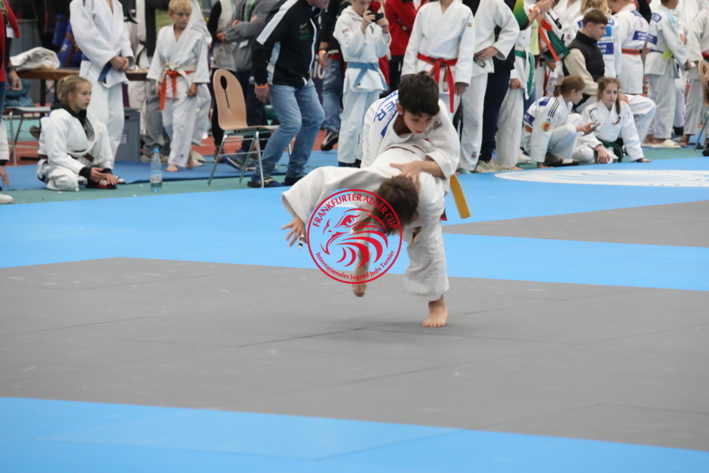 1J7A2950 | Fotos vom Adler Cup - Pictures from Adler Cup

Hier findet Ihr alle Eindrücke und großen Momente der Adler Cup Wochenenden. Here you will find all impressions and great moments of the Adler Cup weekends. - Realisiert mit Pictrs.com