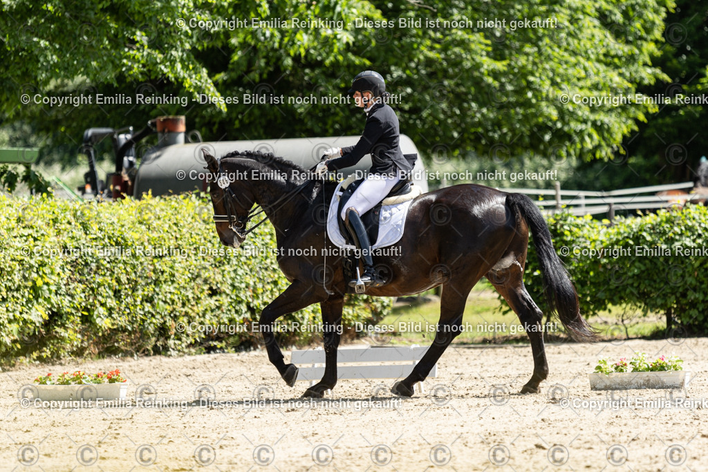 CL5A8115 | Emilia Reinking Fotografie - Realisiert mit Pictrs.com