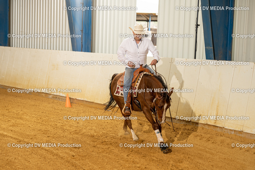 MIT00228 | dv-media-shop - Realisiert mit Pictrs.com