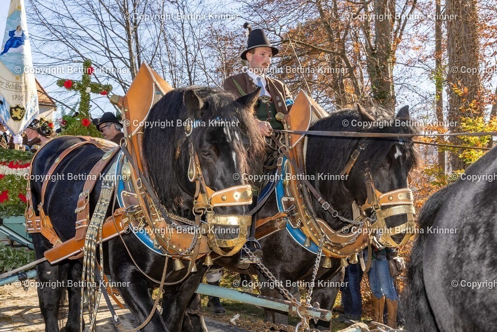 LBT25-1301 | foto-bettina-krinner - Realisiert mit Pictrs.com
