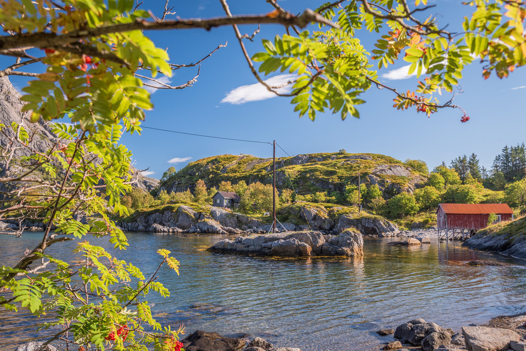 lofoten_tag05-153 | <div id="allefotografen-seal-verified-green"></div><script src="https://www.allefotografen.de/956728/seal-verified-green/seal.js" async="async"></script> - Realisiert mit Pictrs.com