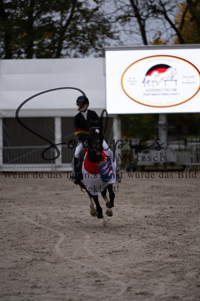 A7V01448 | Pferdefotograf