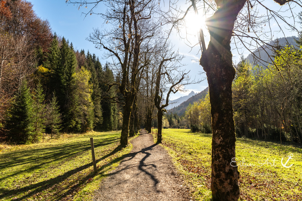 20241031-EAF_5328 | Eilun-Art-Fotografie Levke Martens, ihre Fotografin für Immobilien- und Landschaftsfotografie auf Föhr, Föhrer Motive als Poster, Leinwand, hinter Acrylglas oder stelle dir deinen eigenen Monatskalender zusammen, mit nur einem Klick