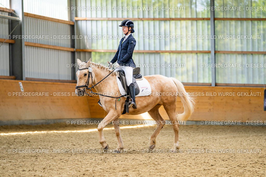 DSC03598 | Pferdegrafie