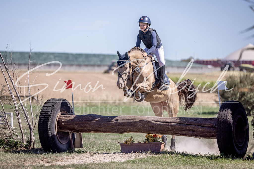 20260906-_3LI4397 | Tierfotografie Pferde, Hunde, Katzen, Haustiere.
Turnierfotografie Reitturniere, Reiten, Springreiten, Dressur in Hanau, dem Main-Kinzig-Kreis und dem Rhein-Main- Gebiet um Frankfurt