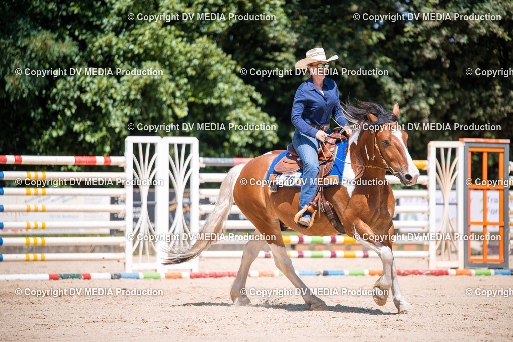 ZS1_1217 | dv-media-shop - Realisiert mit Pictrs.com