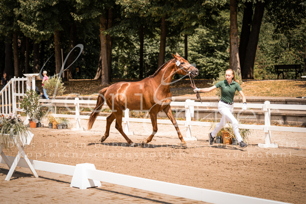 1.Fr00046 | Leoni Ertmer Photography - Realisiert mit Pictrs.com