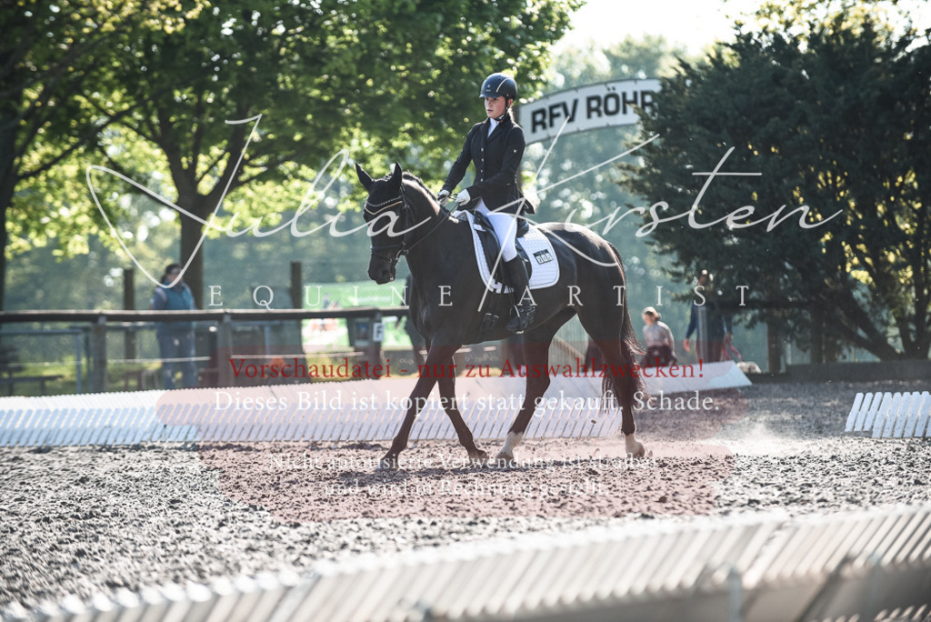 DSC_8355 | Pferde- und Turnierfotografie in Westsachsen. Pferdeportraits, Auftragszeichnungen und intuitive Kunst.
