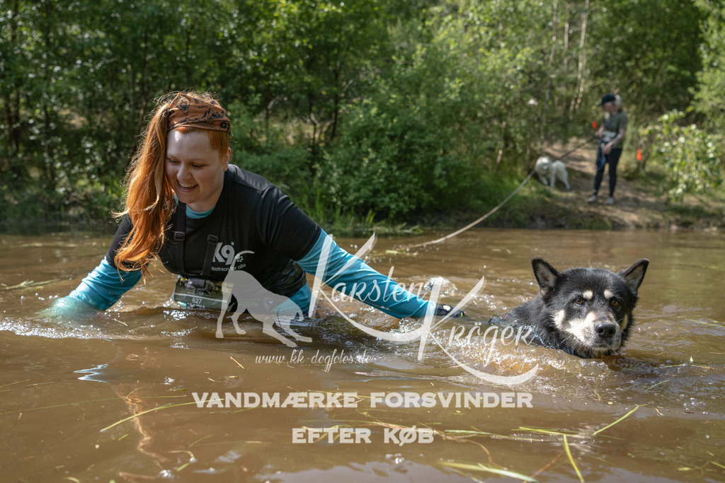 1515DKK990839 | kk-dogfotos