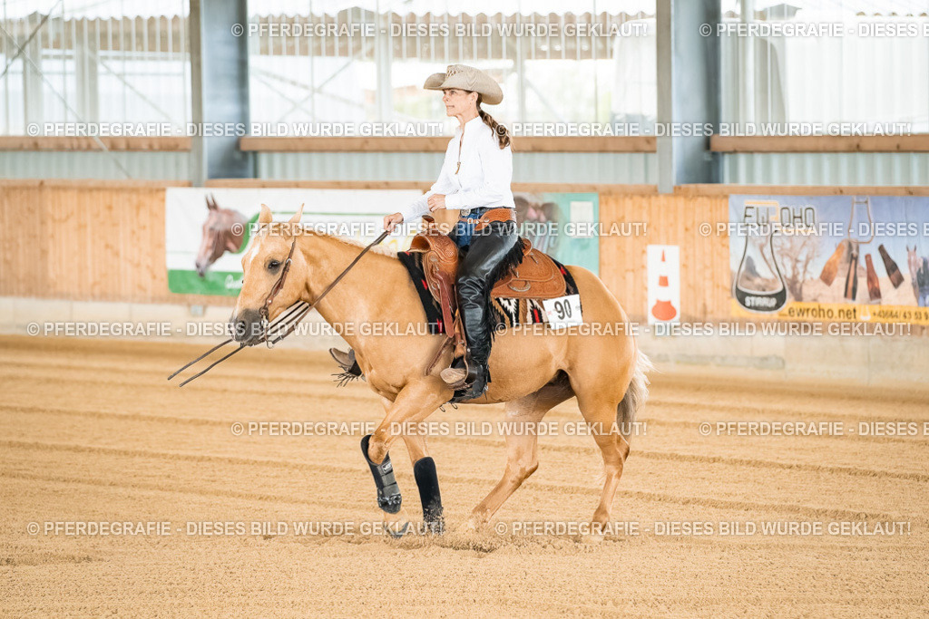 DSC02558 | Pferdegrafie