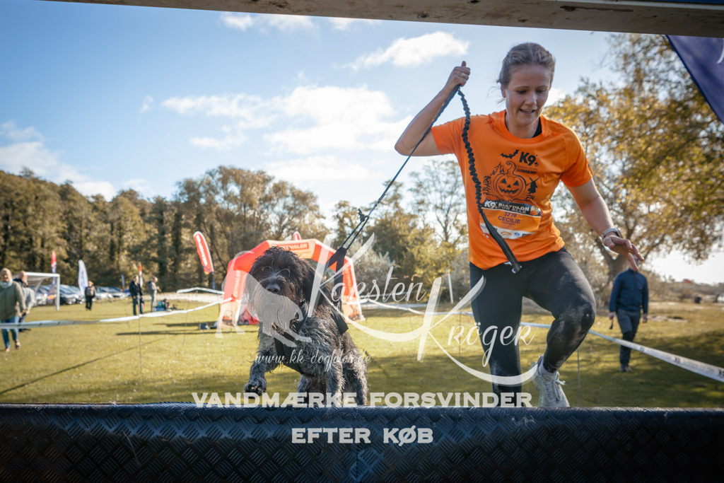 1219_ZZ95412 | kk-dogfotos