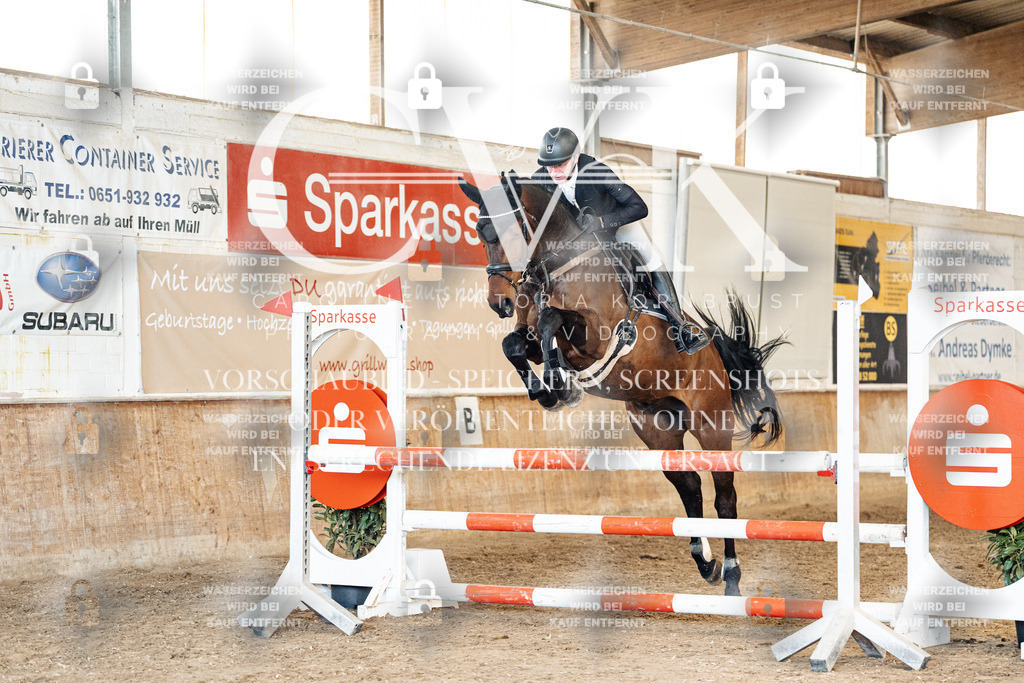 CK905277 | Turnierfotografie Pferdefotografie Trier Rheinland-Pfalz Pferdesport Reitsport Tierfotografie Sportfotografie Pferdevideo Pferdevideografie Equestrianvideography equestrianphotography  - Realized with Pictrs.com