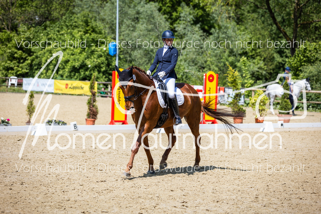 Donop24-L-Dre-112 | MomenTaufnahmen Pferdesportfotos