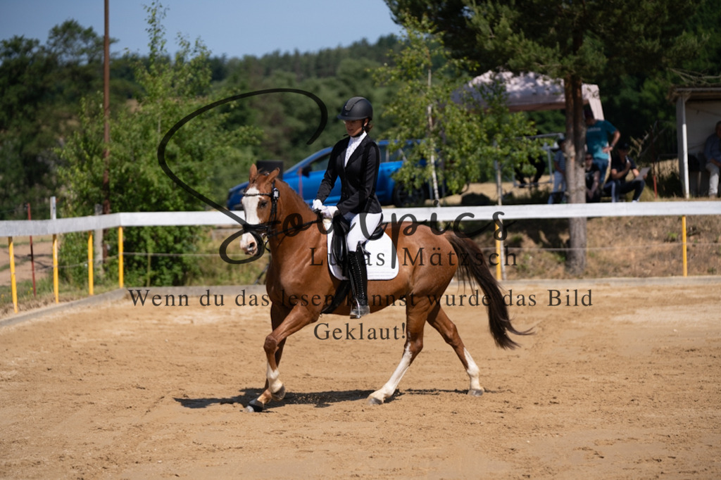 A7V07829 | Turnier/Reitfotograf