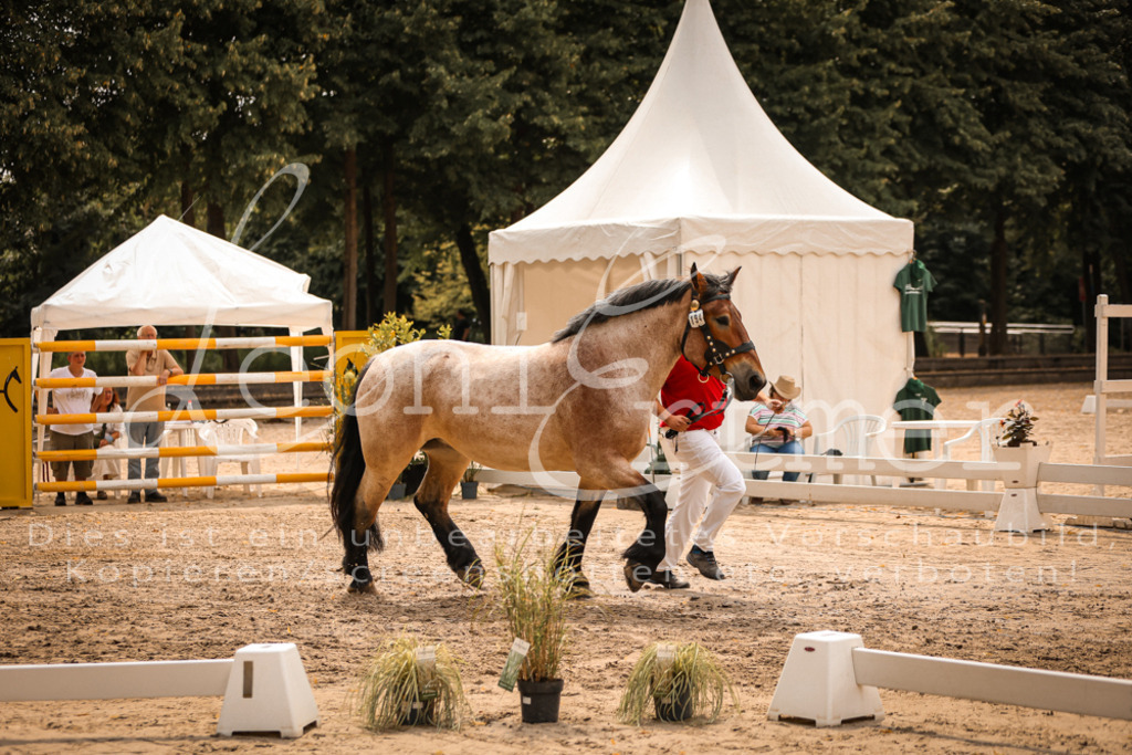 3.Sa00077 | Leoni Ertmer Photography - Realisiert mit Pictrs.com