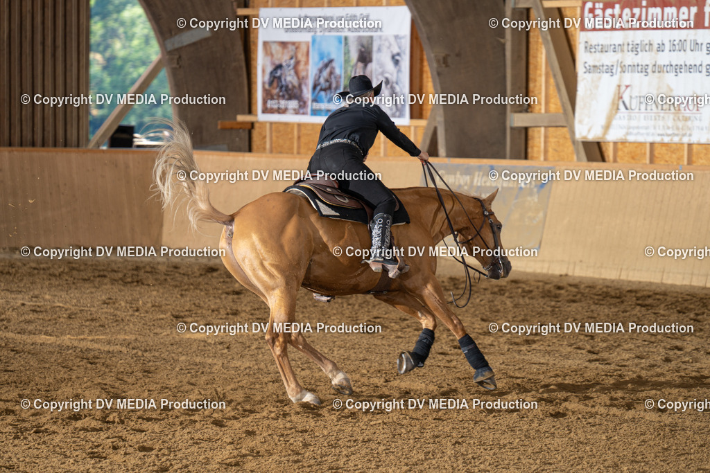 DSC00090 | dv-media-shop - Realisiert mit Pictrs.com