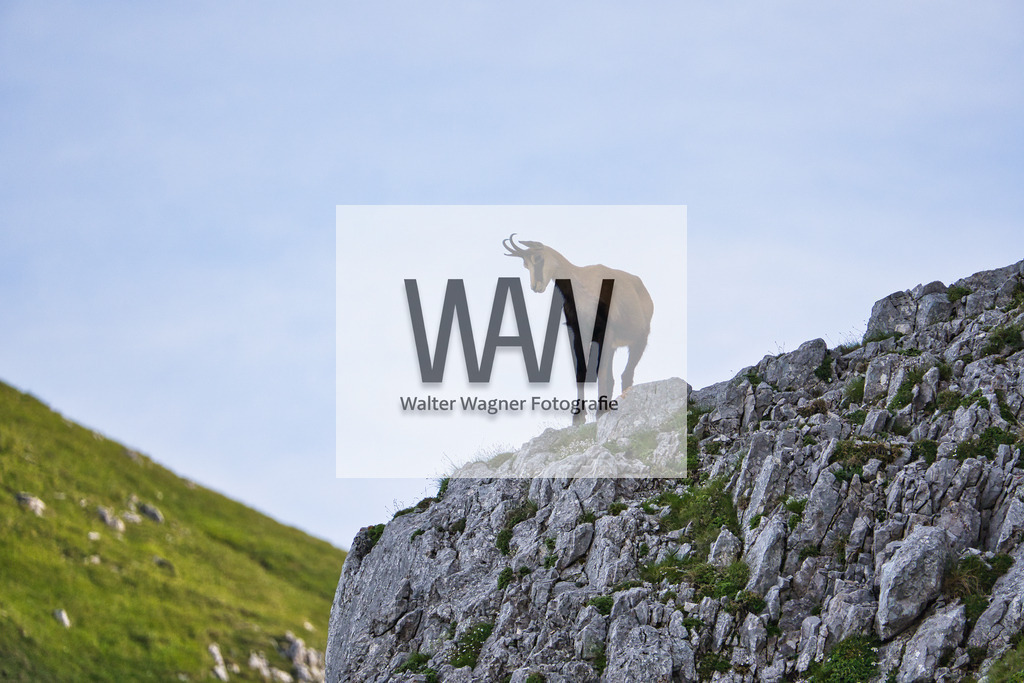 WWW07844 | walter-wagner-fotografie
