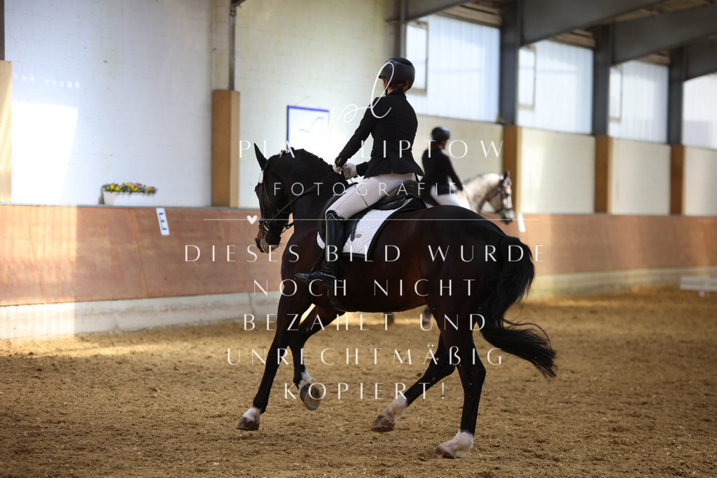 IMGT4508 | pl-fotografie