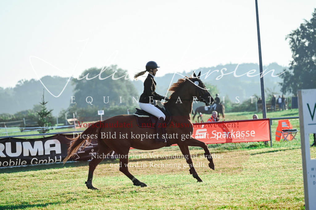 DSC_3924 | Pferde- und Turnierfotografie in Westsachsen. Pferdeportraits, Auftragszeichnungen und intuitive Kunst.